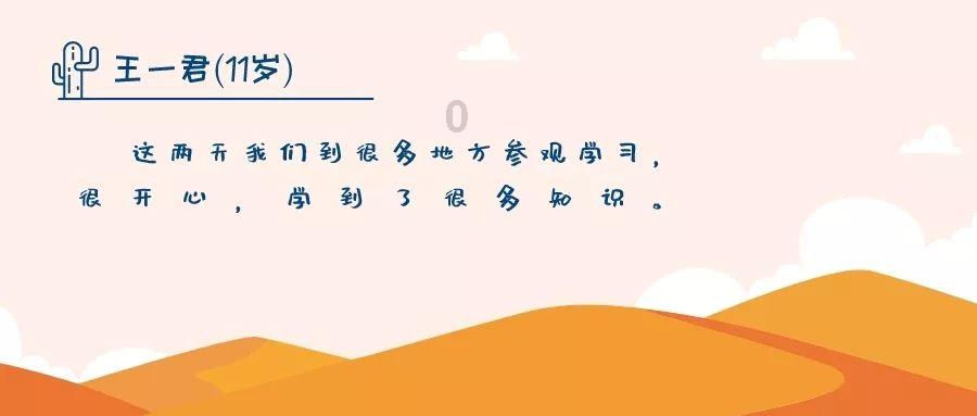 赛马大亨8